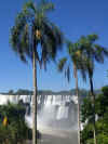 Iguaz (47).jpg (4213666 byte)