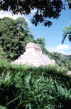 Palenque III, agosto 1998.jpg (109003 byte)