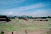 Teotihuacn, IIII 1998.jpg (72596 byte)