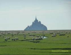 http://domenico1974.files.wordpress.com/2011/08/mont-st-michel-veduta-con-prato-2bis.jpg?w=300