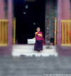 PEMAYANGTSE GOMPA 6.JPG (428289 byte)