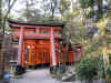 Fushimi torii.jpg (104630 byte)