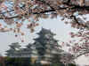 Himeji.jpg (96587 byte)