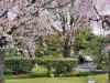 Kyoto giardino 1.jpg (102452 byte)