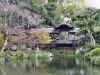 Kyoto giardino 2.jpg (95494 byte)