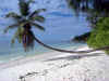 Seychelles 654.jpg (260987 byte)