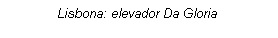 Casella di testo: Lisbona: elevador Da Gloria