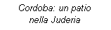 Casella di testo: Cordoba: un patio nella Juderia