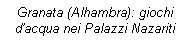 Casella di testo: Granata (Alhambra): giochi dacqua nei Palazzi Nazariti