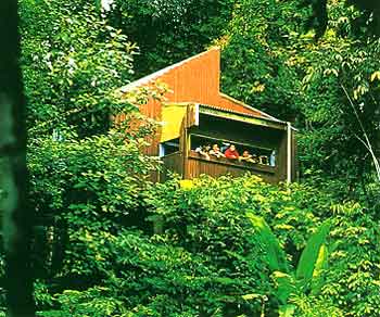 Bumbung Yong observation hide