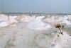 mucchi di sale al Lago Rosa.jpg (121325 byte)