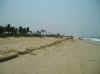 Spiaggia di Benaulim.JPG (815426 byte)