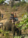 elephant riding.JPG (889390 byte)