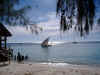 Zanzibar_barca.jpg (370980 byte)